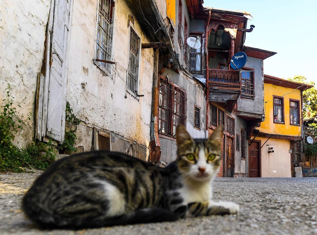Bir zamanlar bütün kapıların  açık olduğu bir mahalle: Yahudi Mahallesi