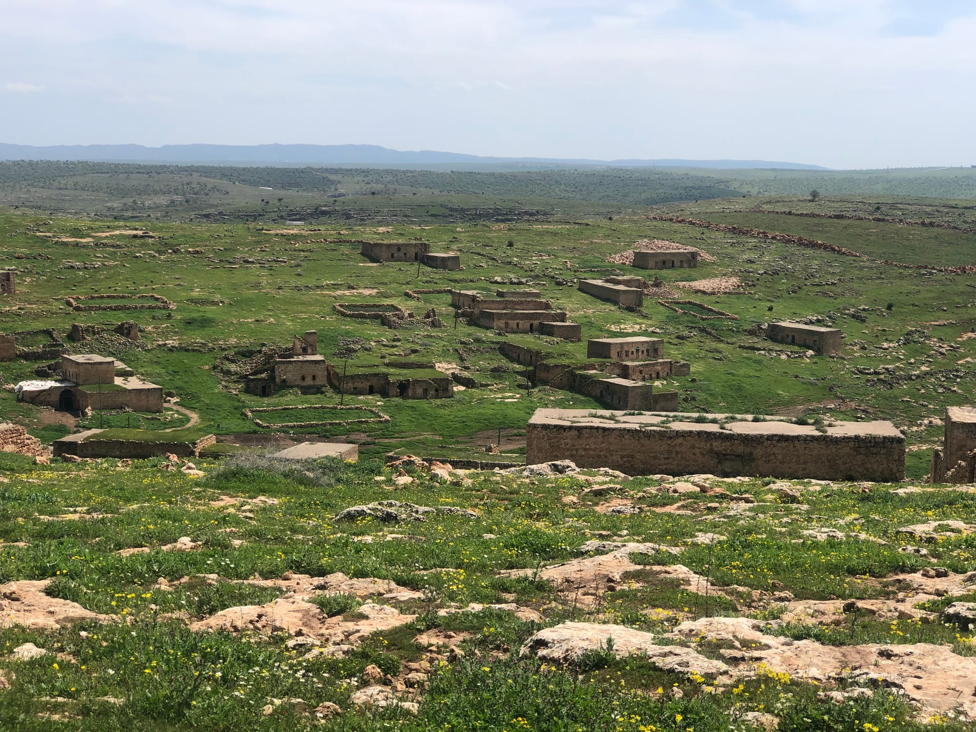 Midyat Ezidileri: Geçmişin Küllerinden Bugüne 'Öteki'nin de Ötekisi Olmak, Diaspora ve Geri Dönüş - Rengin Uçkan