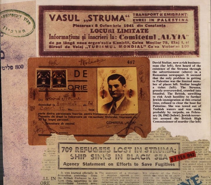 Struma ya da kıpı – Anita Sezgener