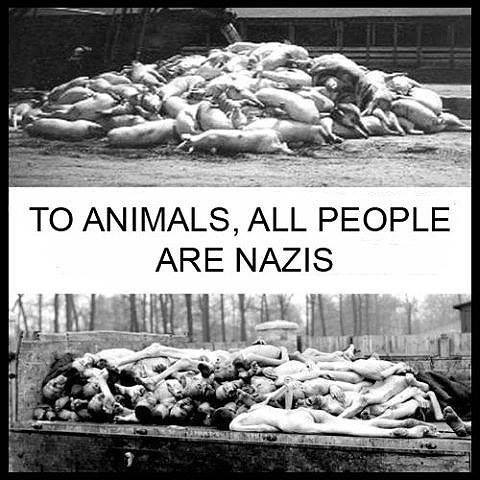 Holocaust ile Hayvan katliamları neden benzeştirilemez – Meriç Aytekin