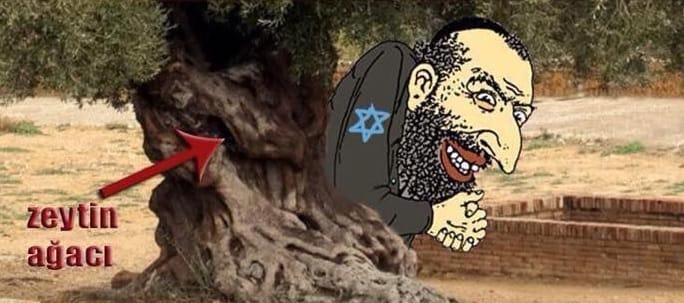 Zeytin Üzerinden Antisemitizm: “Zeytin Yahudi Ağacıdır” – Serdar Korucu