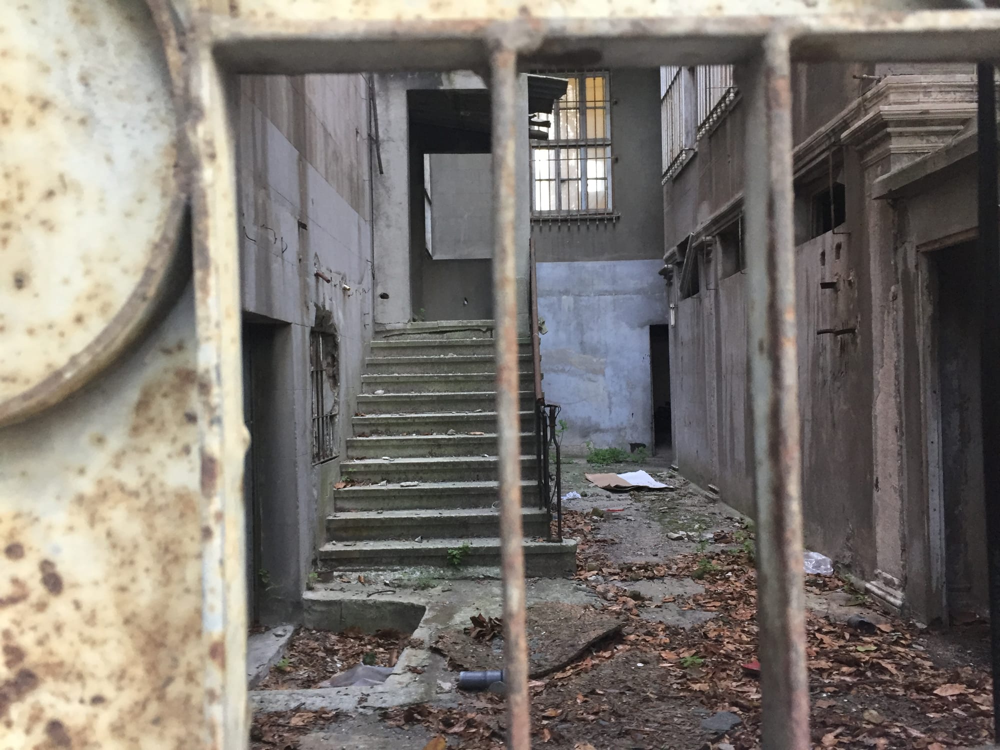 El Orfelinato Sergisi 20 Eylül’e dek açık – Rika Kuriel