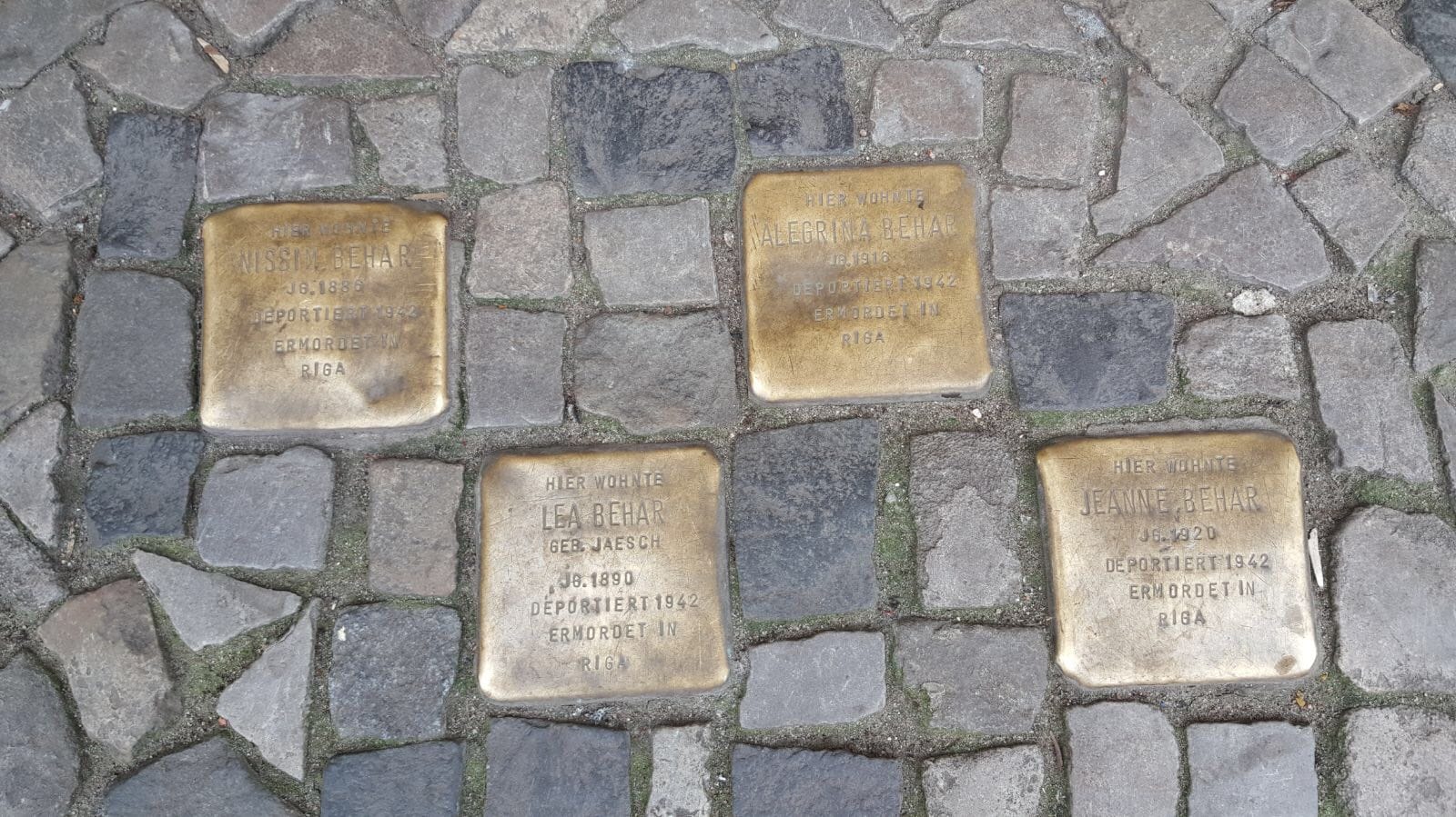Anne Frank House’un metodolojisi doğrultusunda “Hafıza Yürüşü”