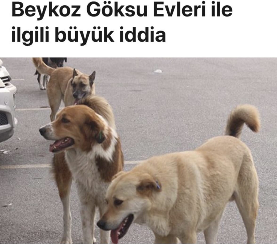 Antisemitizmde Yaratıcılık: İğneli Fıçılar, Masonlar ve Sokak Köpekleri – Madam Pandispanya