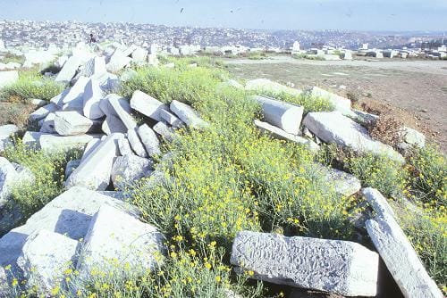 Türkiye Yahudi Mezarlıkları Arşivi Açıldı