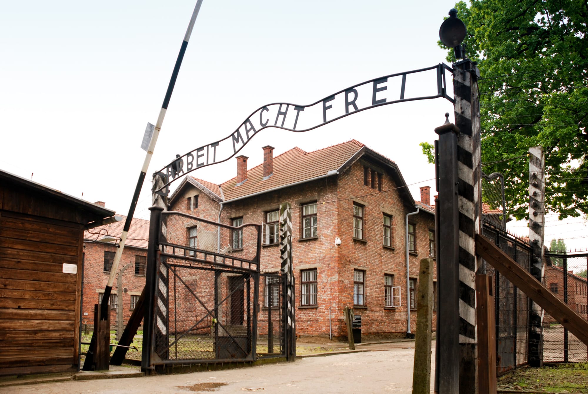 Bir Romanda Kamp Gerçekliği: “Bizim Burada Auschwitz’te ve Diğer Öyküler”