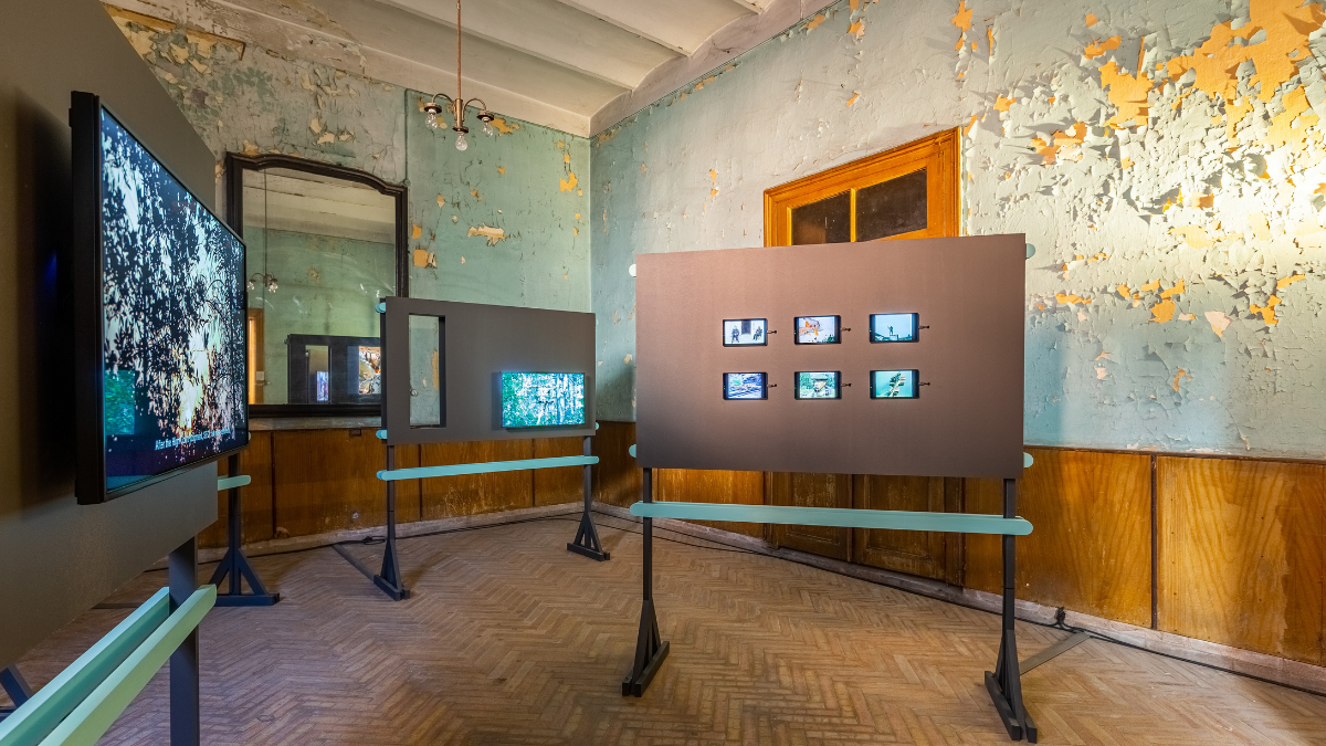 17. İstanbul Bienali: İtaatsizlik Arşivi [Ders Bitti]￼