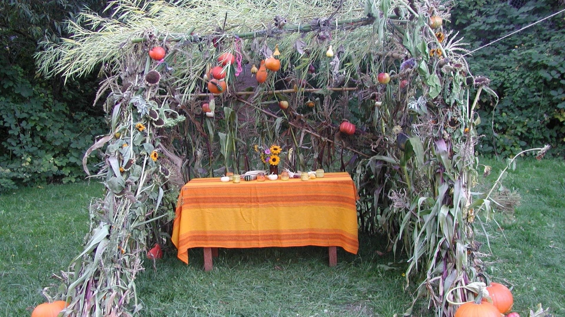Sukkot: Joy in Humility – Yakov M. Rabkin