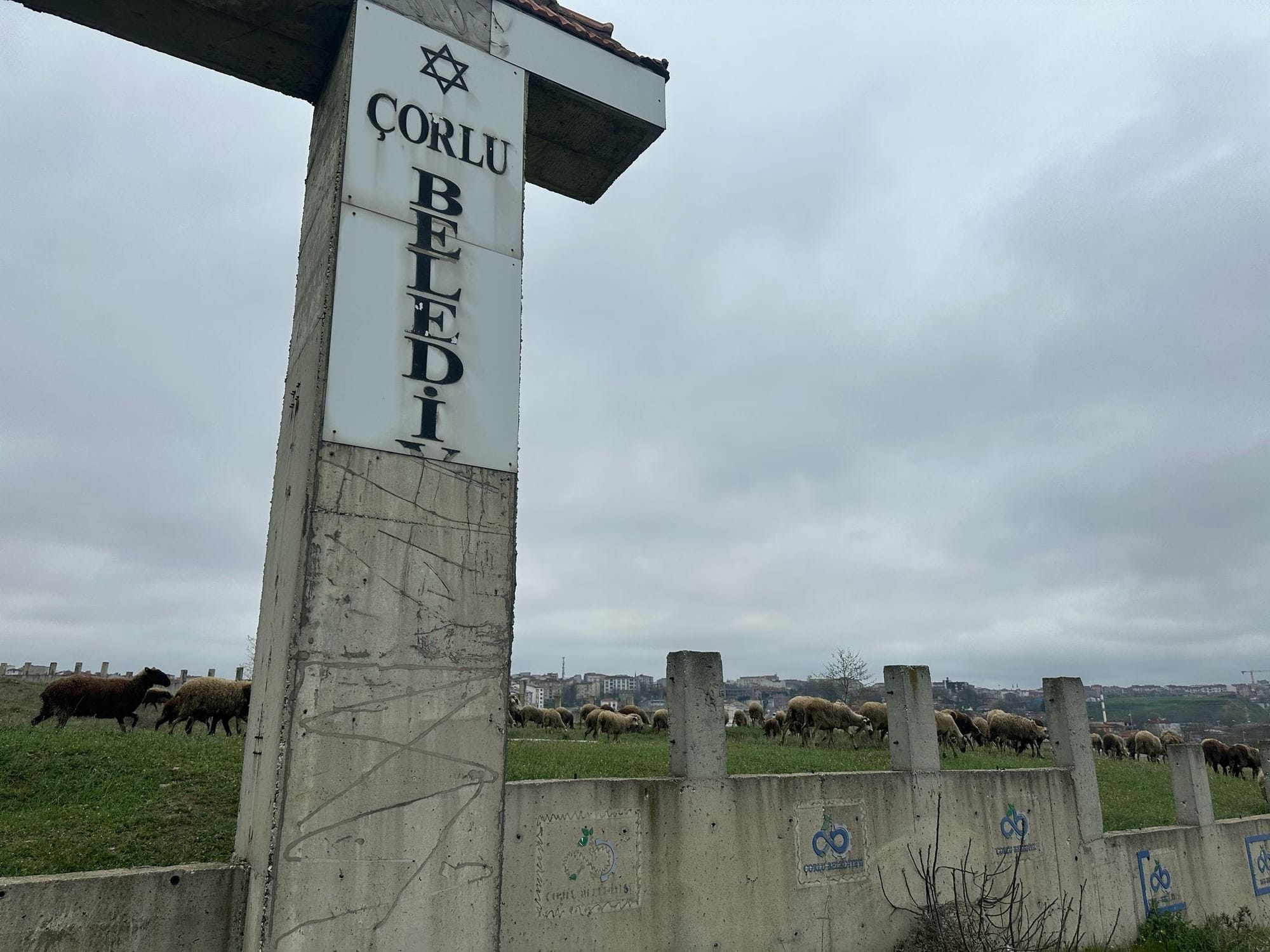 Tekirdağ’da bir Yahudi Mezarlığı olduğunu biliyor muydunuz? – Atife Şevval Düzyol